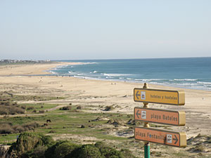 Conil - Playas